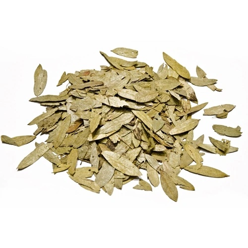 Seena Leaves