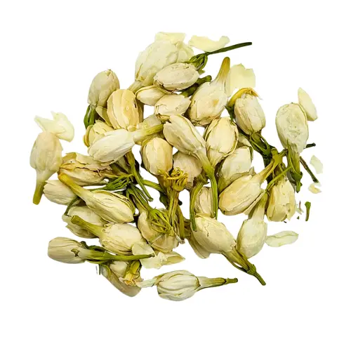 Jasmine