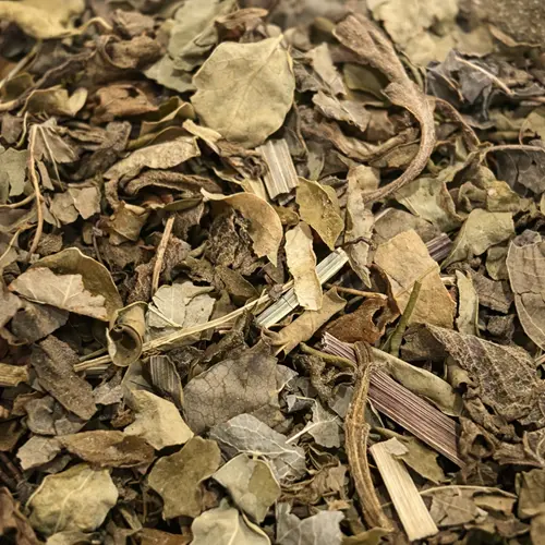 Moringa Mint Fresh