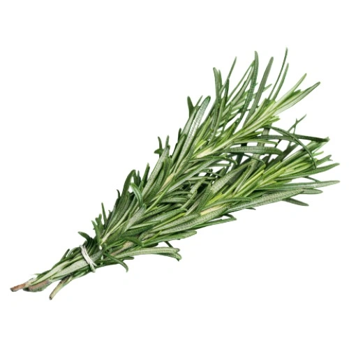 Rosemary